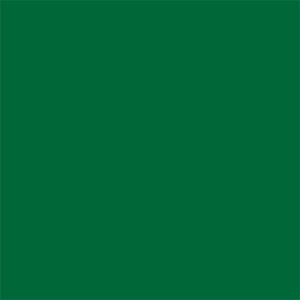 Photo Copy Paper 80gsm A4 Dark Christmas Green ( x 500 )