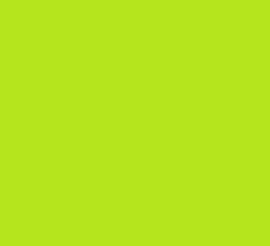 Kartoncina A4 size 210 x 297 240 GSM D Lime ( x 30 )
