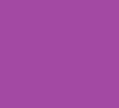 Bristol Board 50 x 65 / 240 GSM D Purple (x 125) 