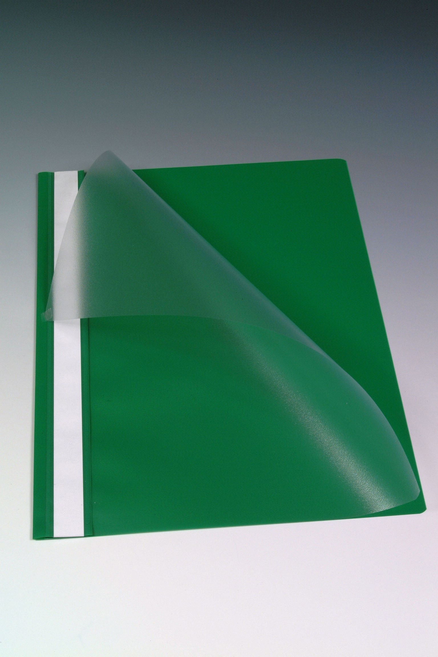 Flat File in PP - ( AURORA ) Green