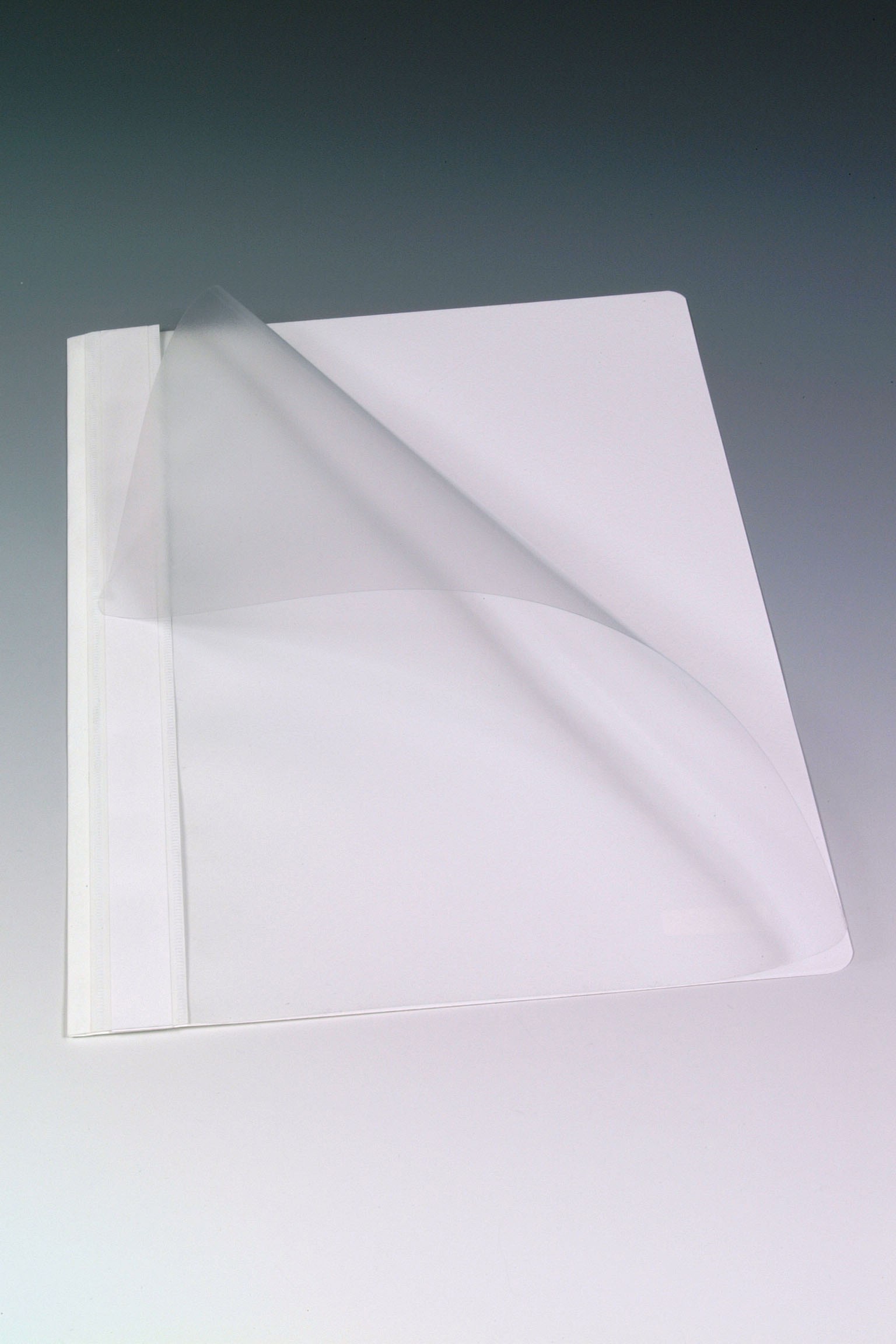 Flat File in PP - ( AURORA ) White 