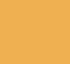 Bristol Board 50 x 70 / 250 GSM Pastel Orange (x 125) 