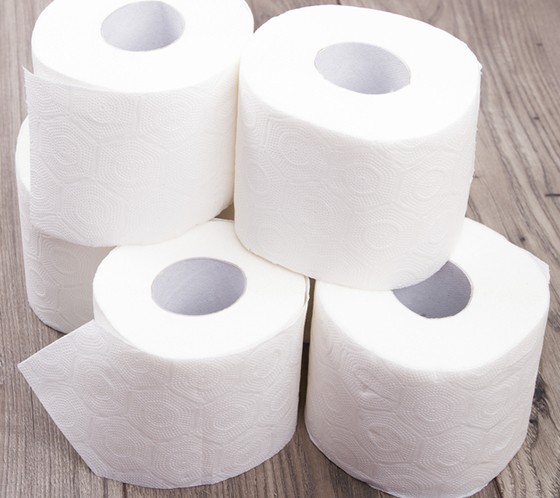 Paper rolls - Tissue Pura ( pack of 42 rolls )