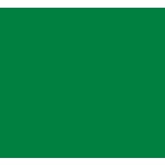 Bristol Board 50 x 65 / 240 GSM D Green (x 125)