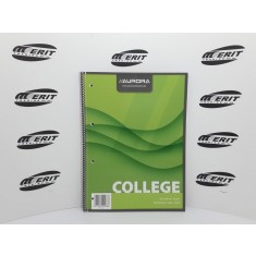 A4 - College Block x 160 pages ( x 10 )