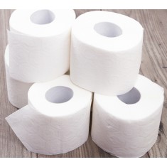 Paper rolls - Tissue Pura ( pack of 42 rolls )